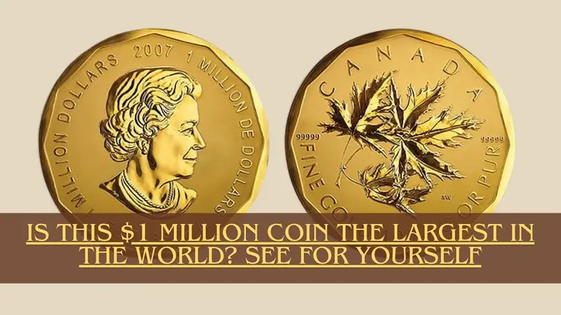 Is This $1 Million Coin the Largest in the World? See for Yourself